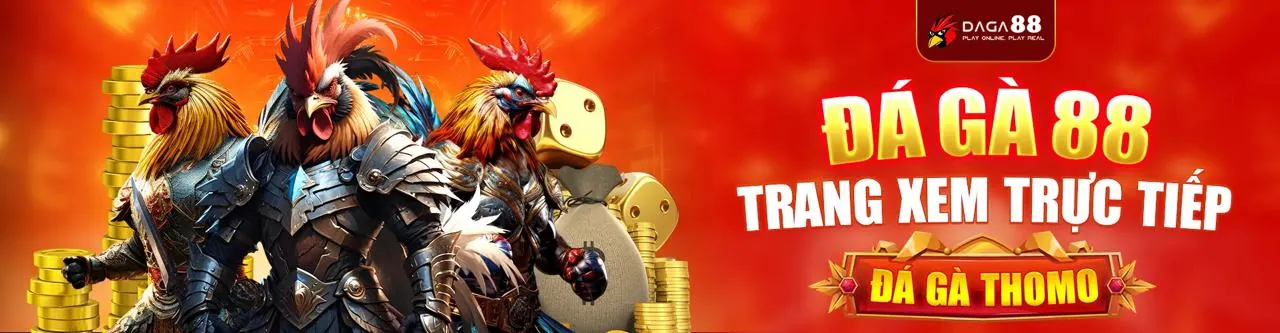 Cài đặt quyền riêng tư và quản lý cookie trong trình duyệt, minh bạch tại NE88